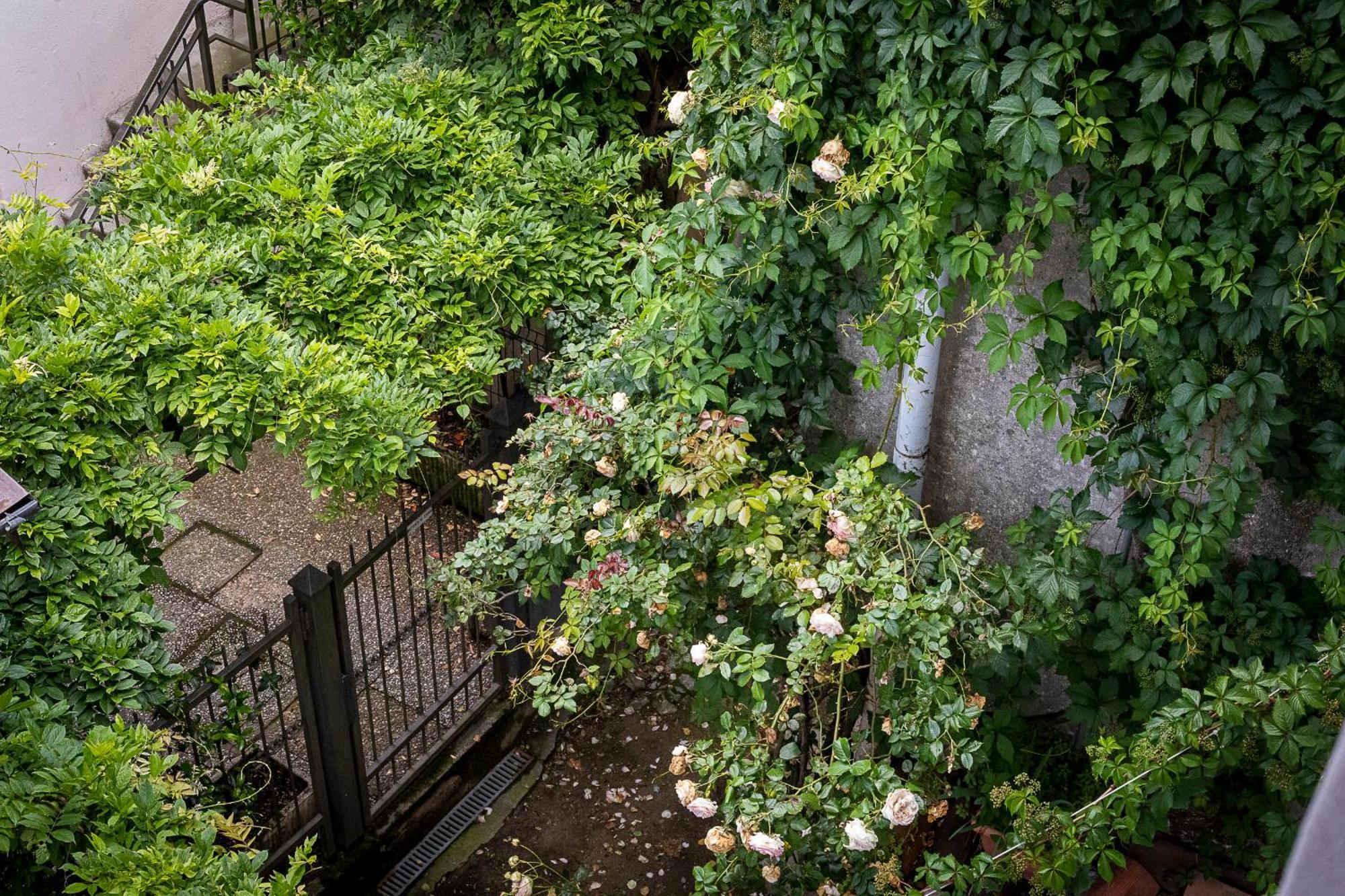 קומו Fiordaliso Apartment מראה חיצוני תמונה